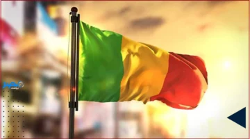 إعدام علني في مالي يثير جدلاً واسعاً بعد تداول فيديو مؤثر على تيك توك